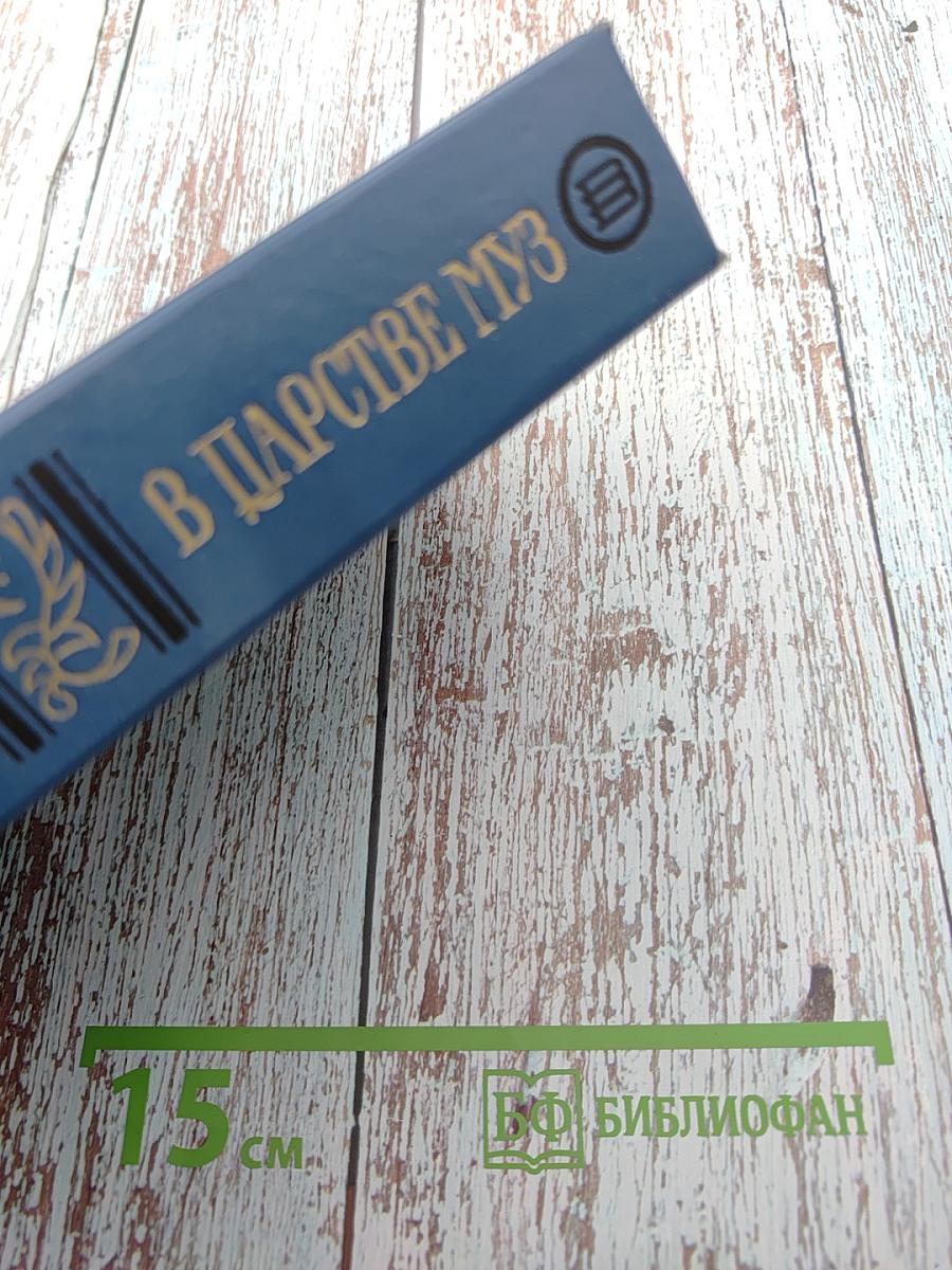 В Царстве Муз. Московский литературный салон Зинаиды Волконской 1824–1829 гг.