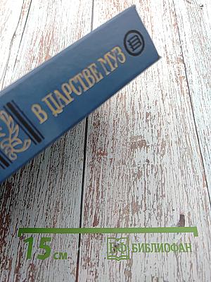 В Царстве Муз. Московский литературный салон Зинаиды Волконской 1824–1829 гг.