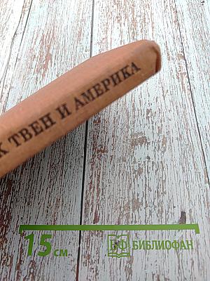 Марк Твен и Америка