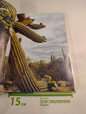 Живой мир пустынь