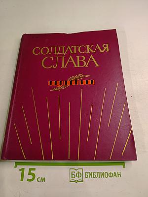 Солдатская слава. Книга седьмая