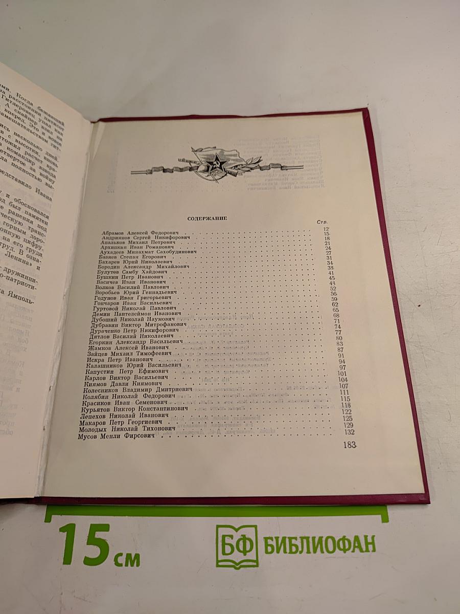 Солдатская слава. Книга седьмая