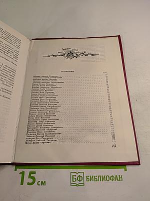 Солдатская слава. Книга седьмая