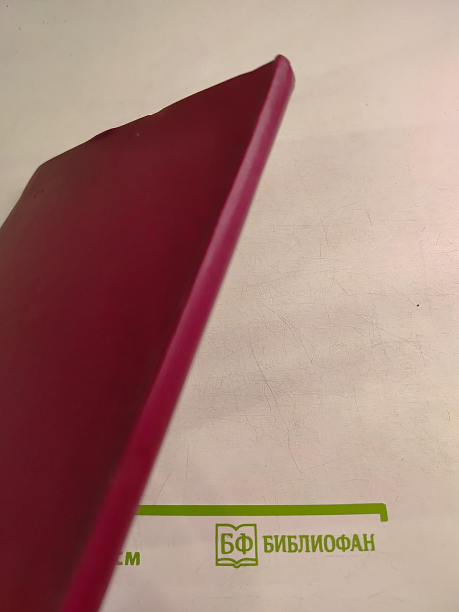 Солдатская слава. Книга седьмая