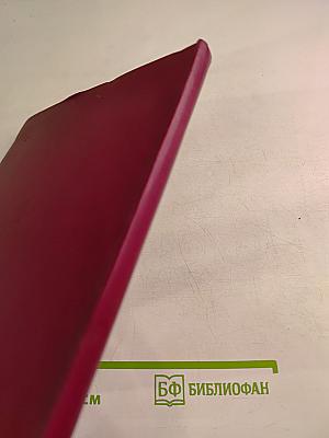 Солдатская слава. Книга седьмая