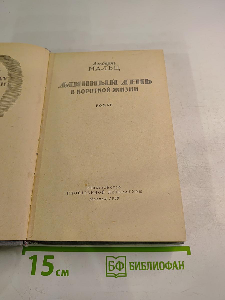Длинный день в короткой жизни