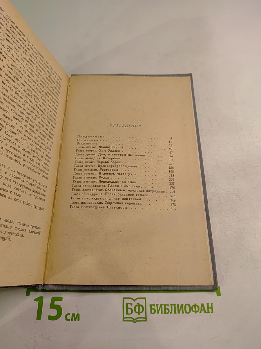 Длинный день в короткой жизни