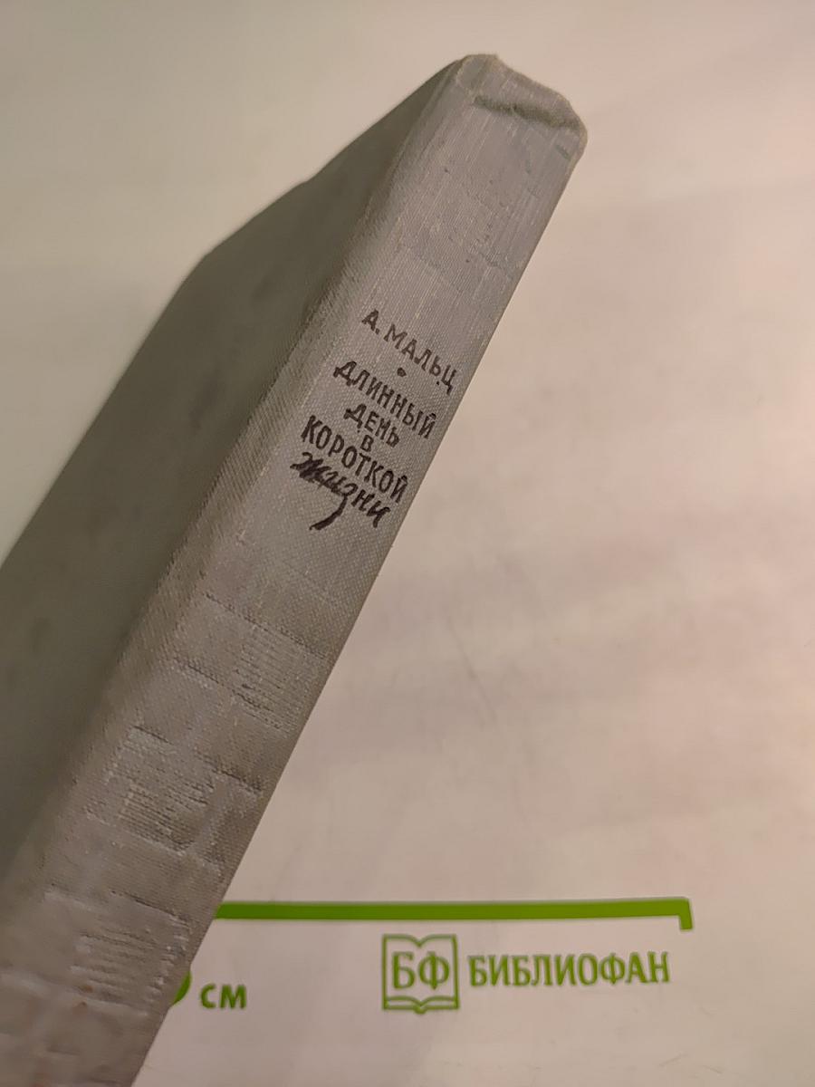 Длинный день в короткой жизни