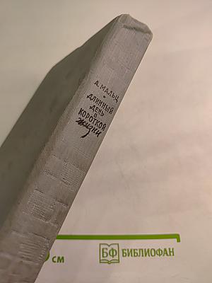 Длинный день в короткой жизни