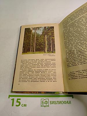 С полным лукошком. Записки грибника