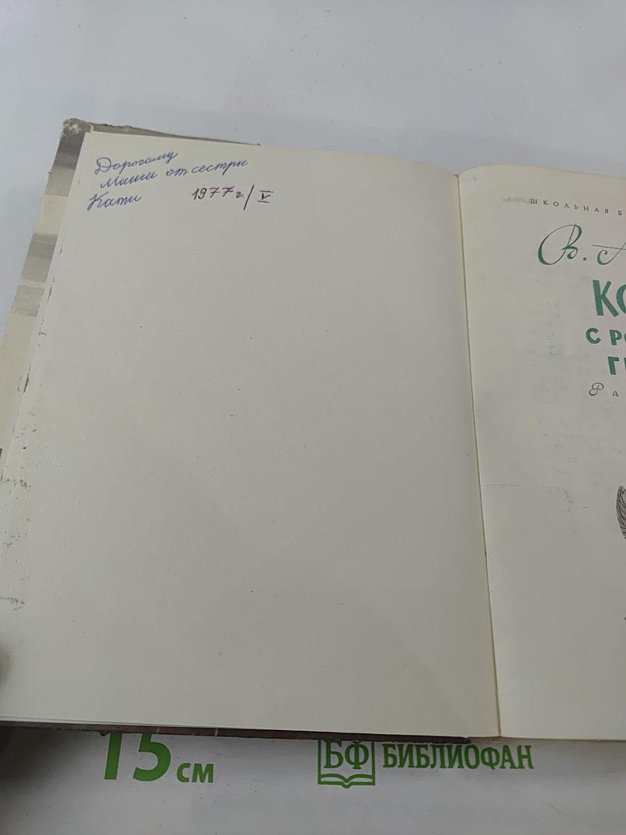 Конь с розовой гривой