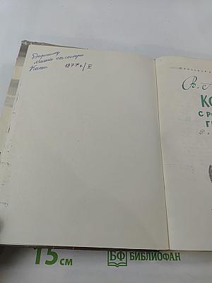 Конь с розовой гривой