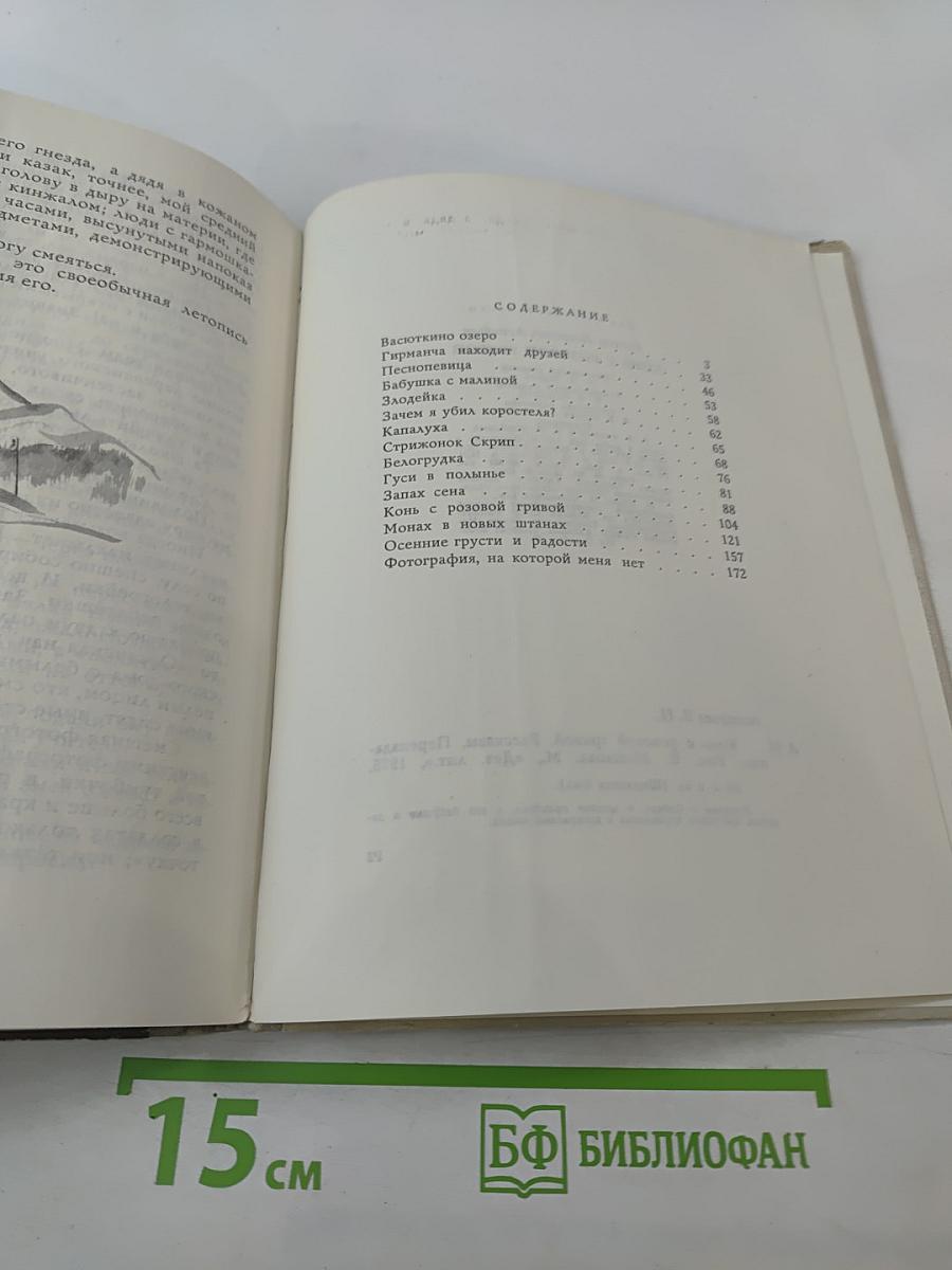 Конь с розовой гривой