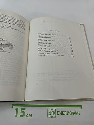 Конь с розовой гривой