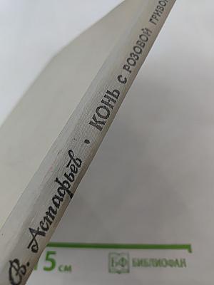 Конь с розовой гривой