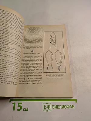 Первопоселенцы суши