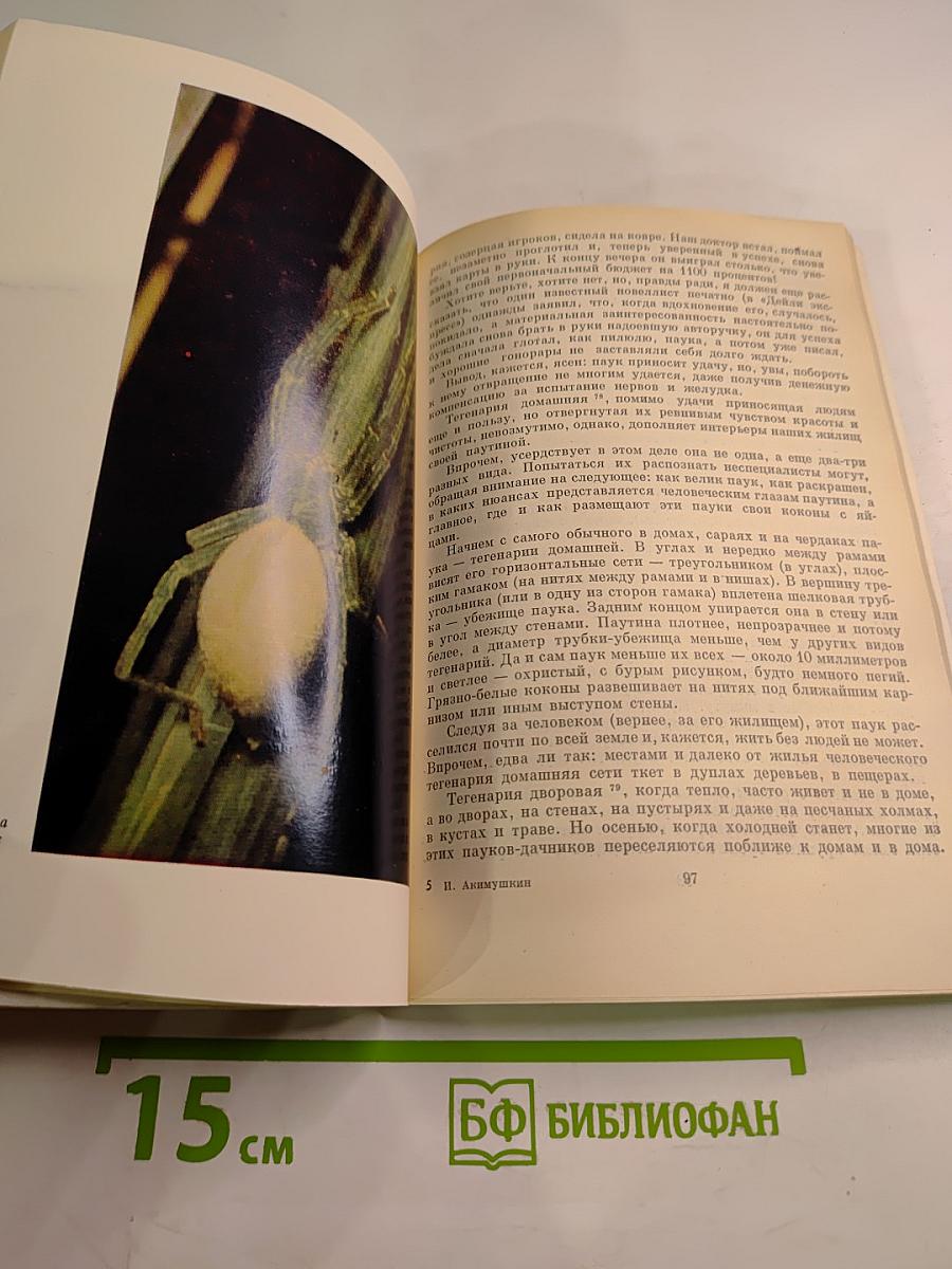 Первопоселенцы суши