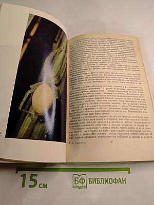 Первопоселенцы суши