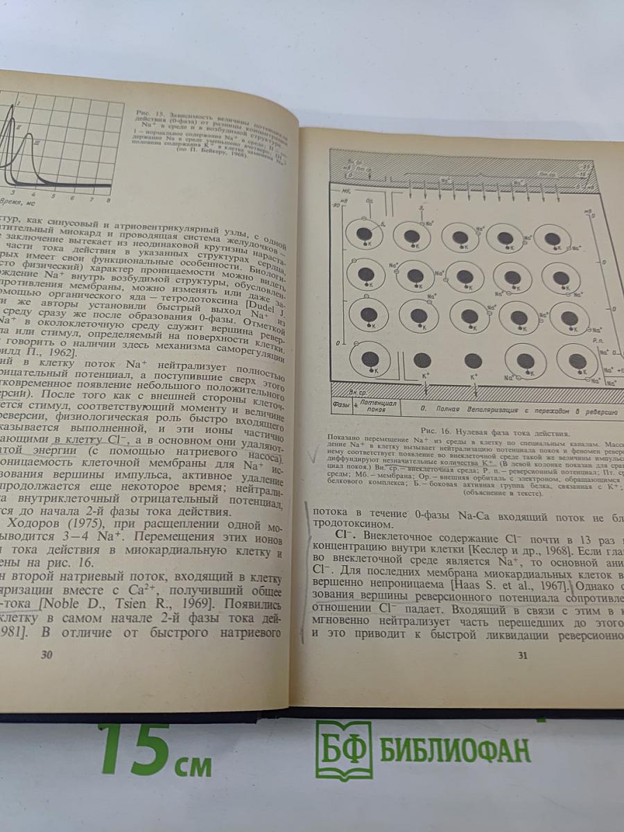 Клиническая электрокардиография. Нарушения сердечного ритма и проводимости