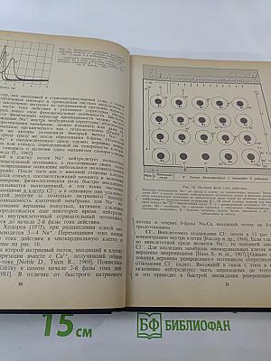 Клиническая электрокардиография. Нарушения сердечного ритма и проводимости