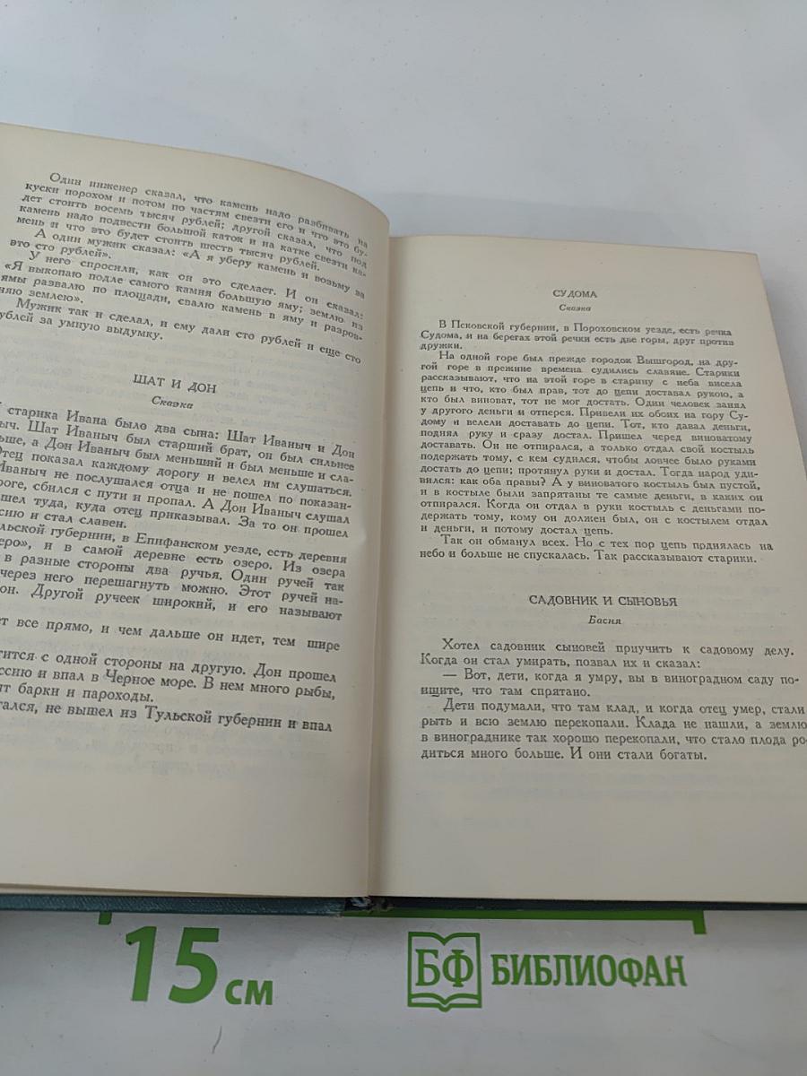 Собрание сочинений в четырнадцати томах. Том десятый. Повести и рассказы (1872-1886)