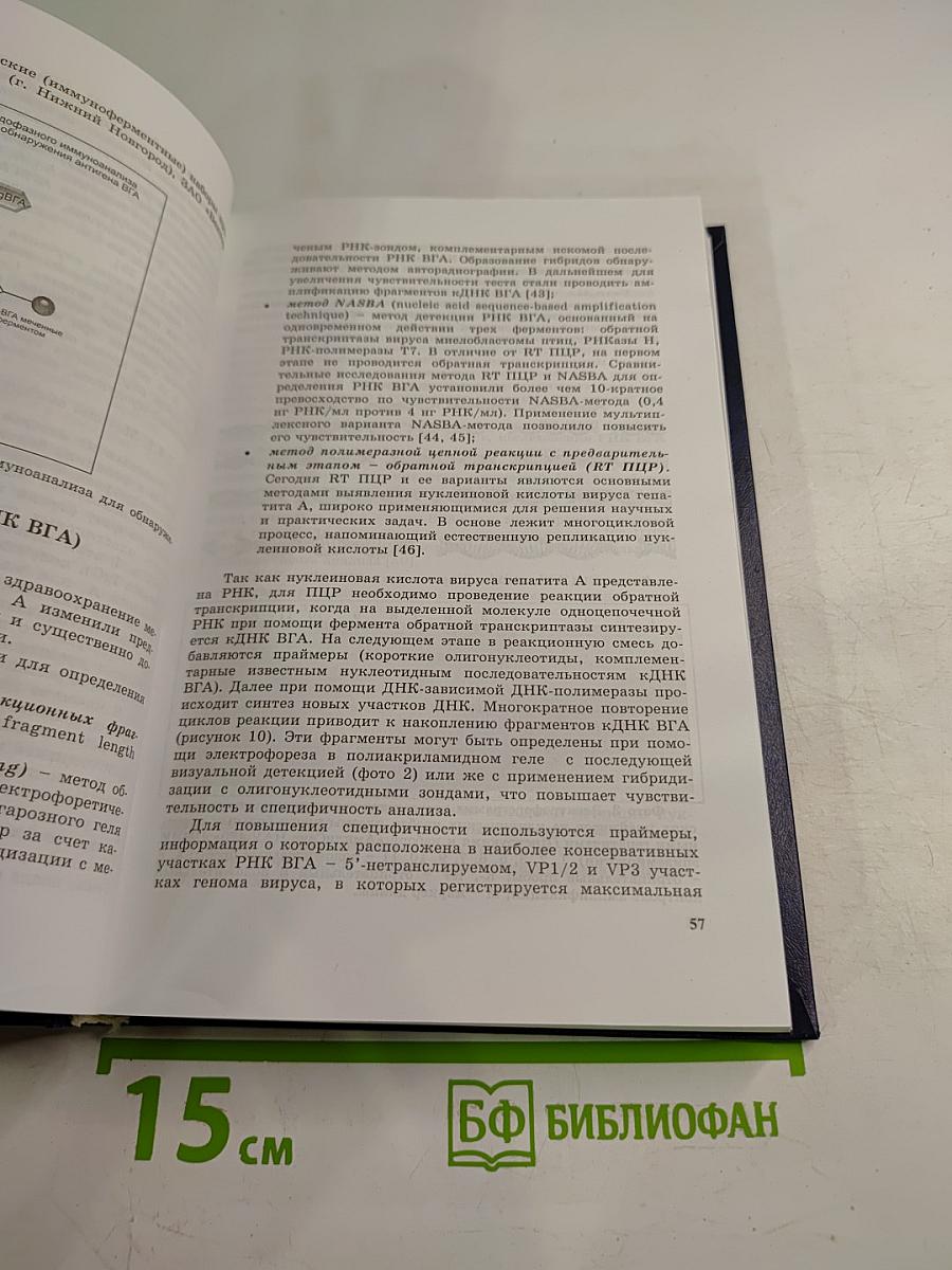 Энтеральные вирусные гепатиты (этиология, эпидемиология, диагностика, профилактика)