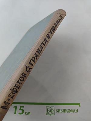 Граната в ушанке