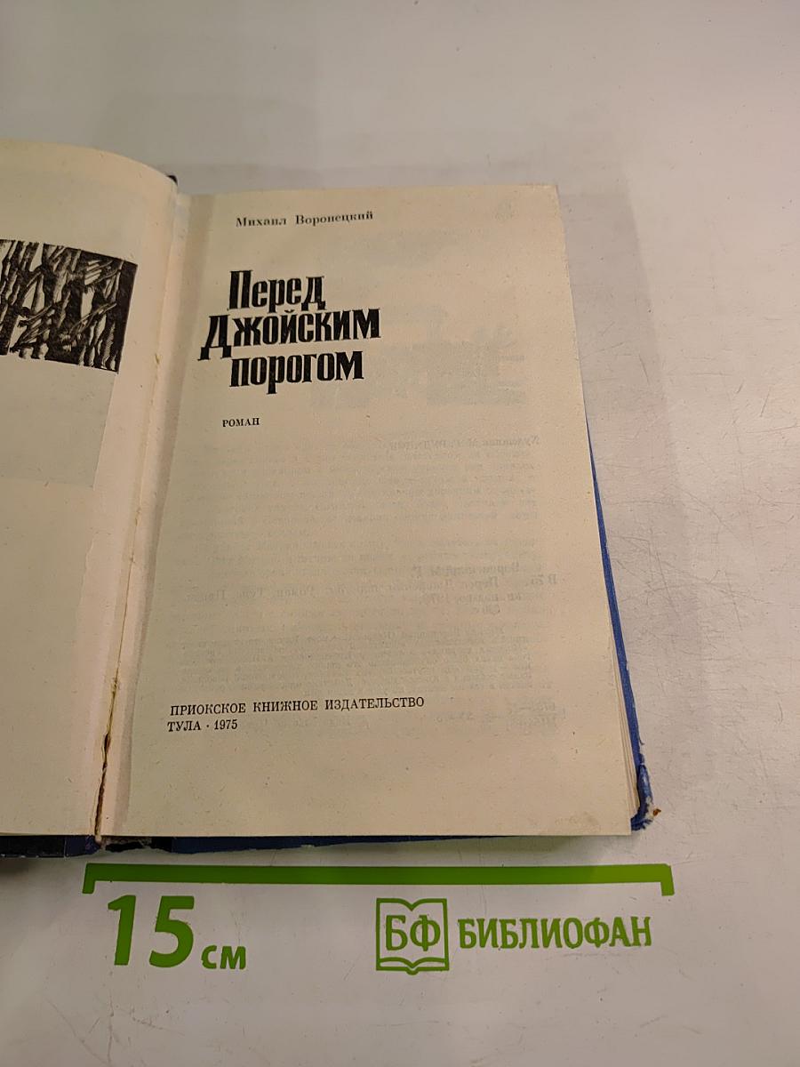 Перед Джойским порогом