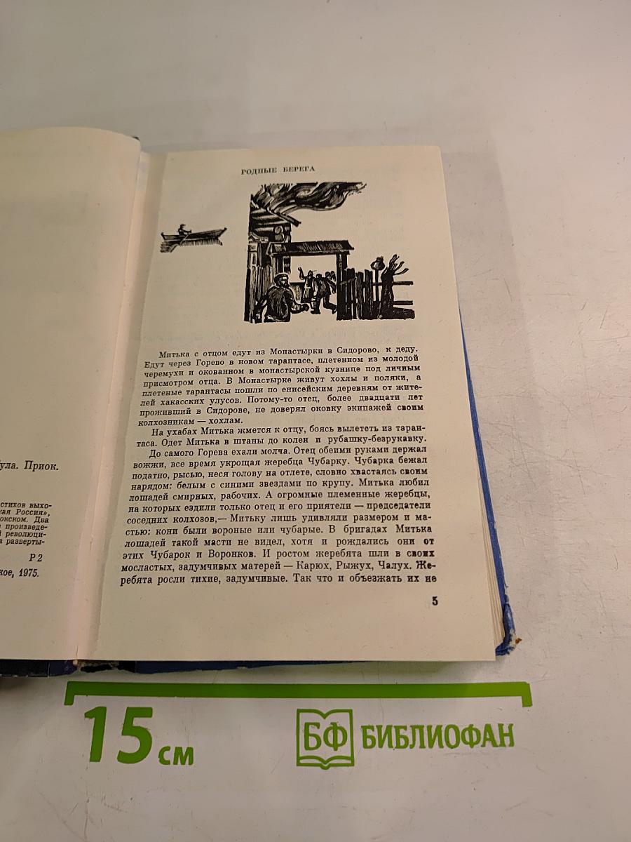 Перед Джойским порогом