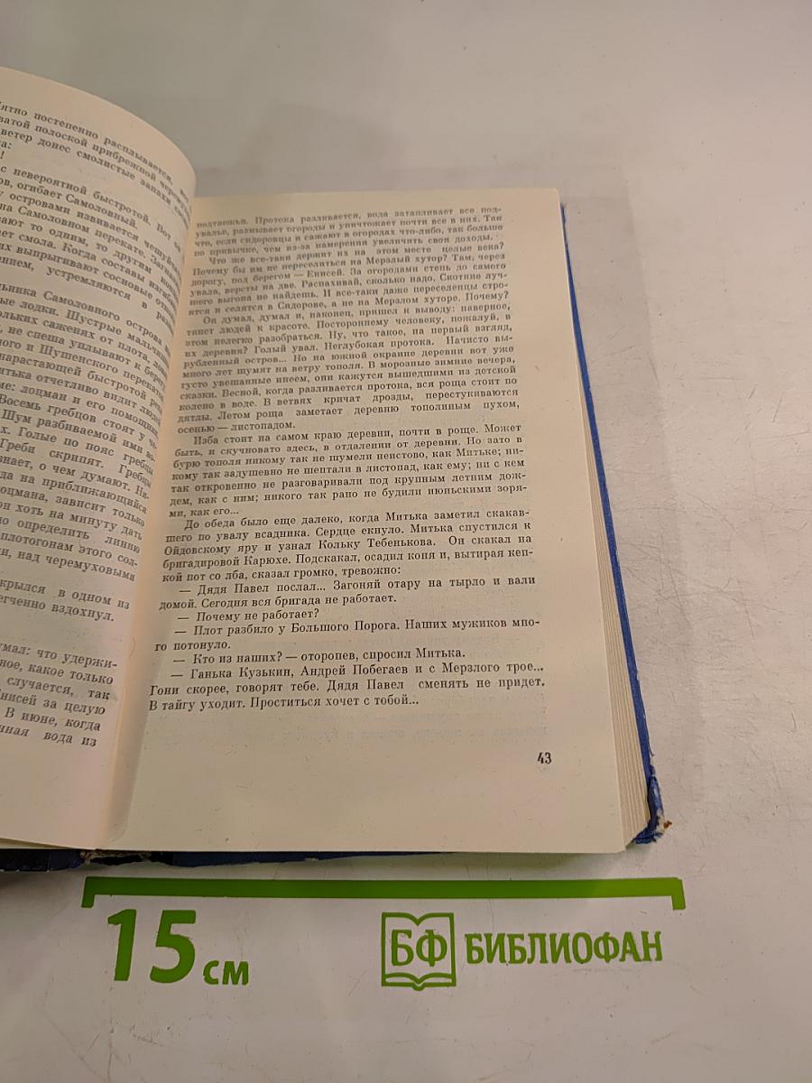 Перед Джойским порогом