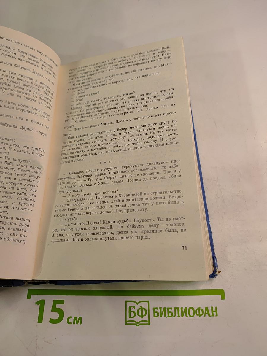 Перед Джойским порогом