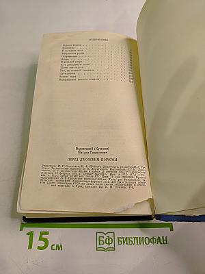 Перед Джойским порогом