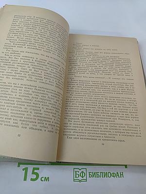 Собрание сочинений. Том 6: История моего современника
