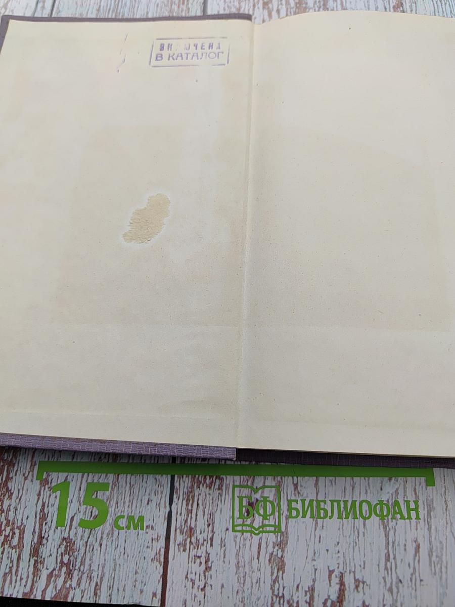 Собрание сочинений, том четвертый: Огненный ангел