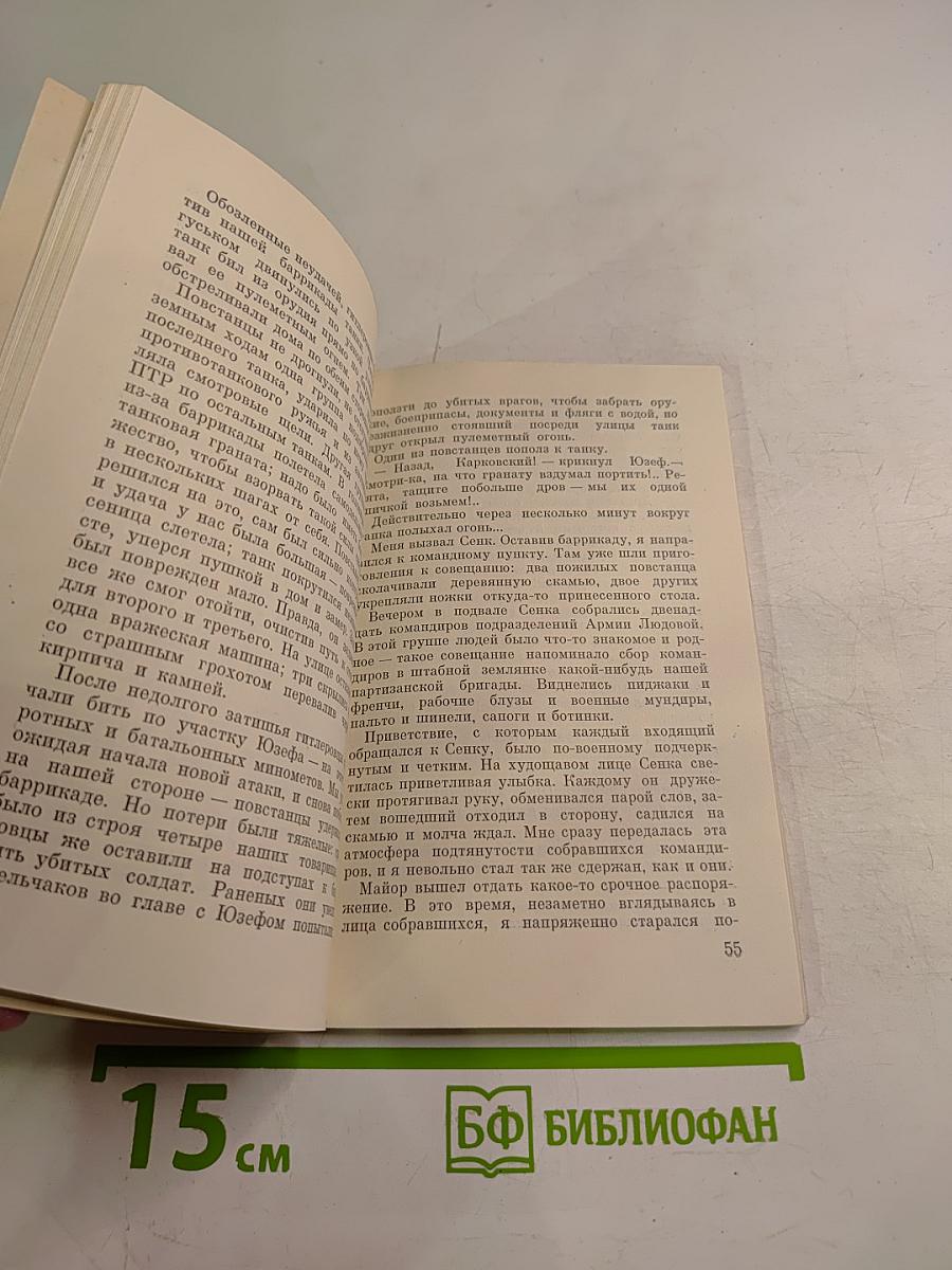 Варшава в огне