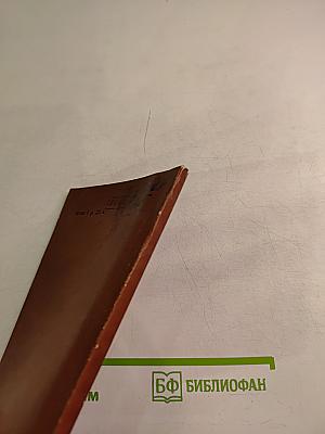 Варшава в огне