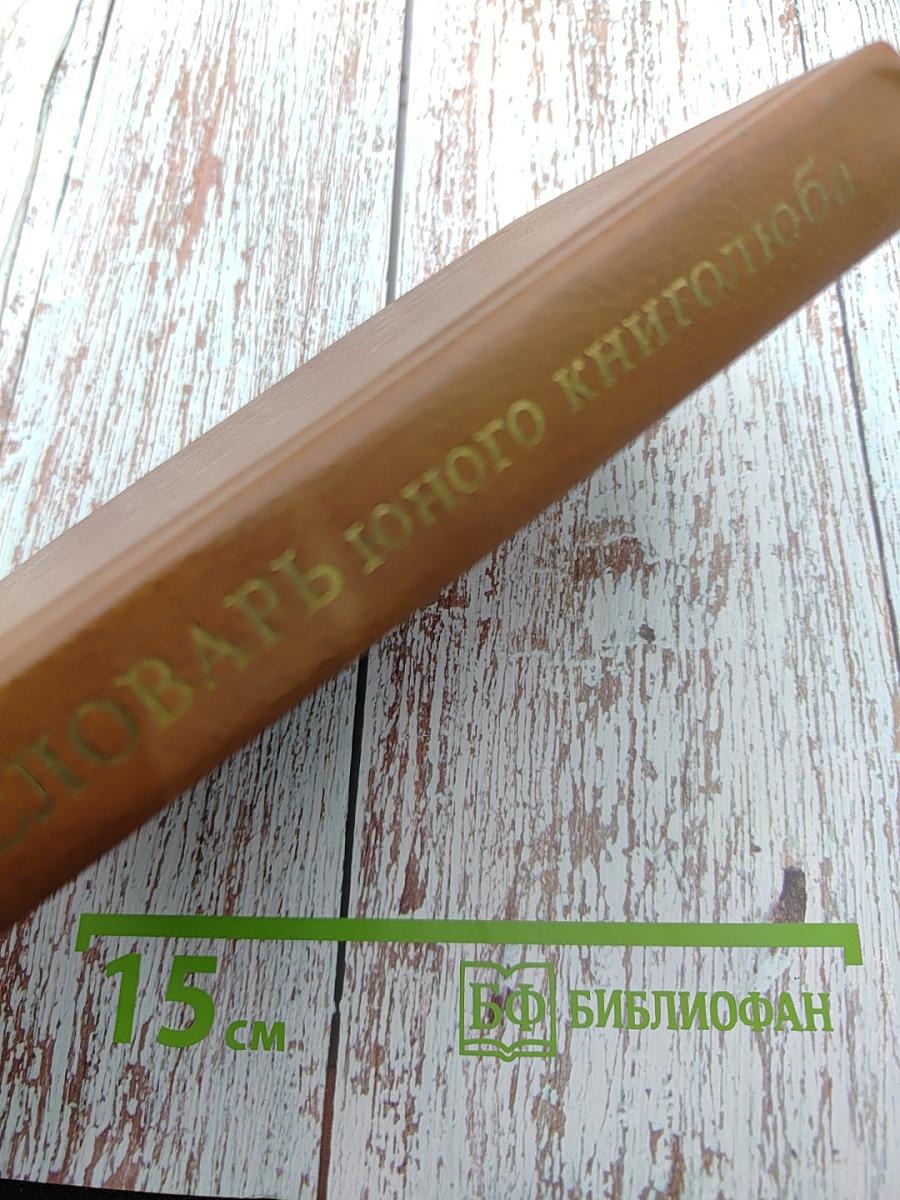 Словарь юного книголюба