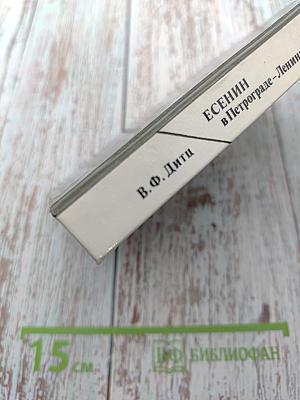 Есенин в Петрограде-Ленинграде