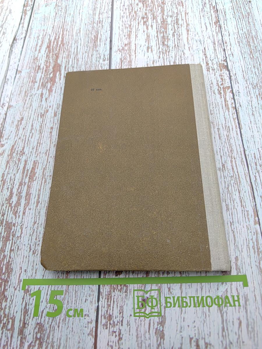 О чём рассказывают дома и улицы Старой Риги