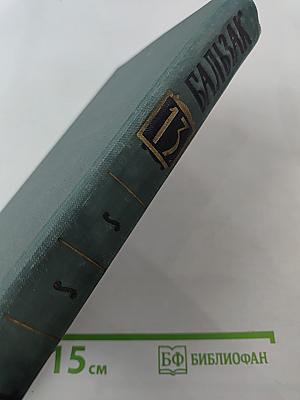 Собрание сочинений в 24 томах. Том 13. Человеческая комедия