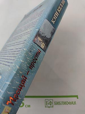 Прощай – прости