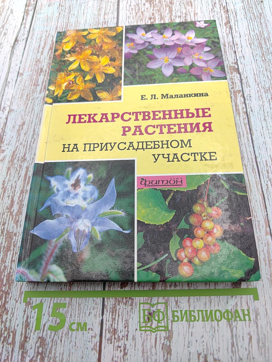 Лекарственные растения на приусадебном участке