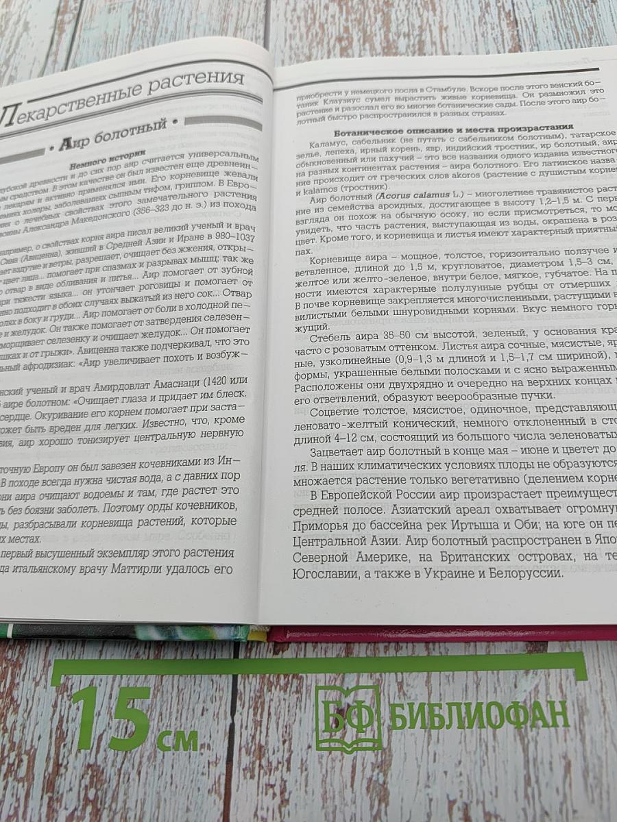 Лекарственные растения на приусадебном участке