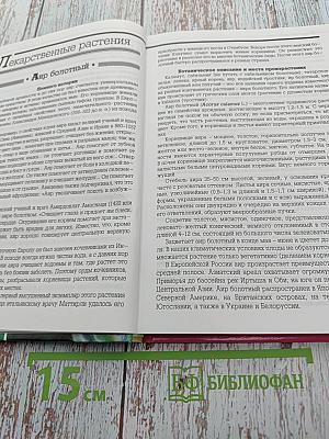 Лекарственные растения на приусадебном участке