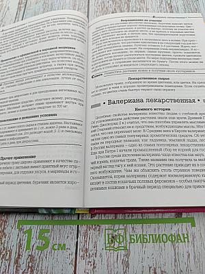 Лекарственные растения на приусадебном участке