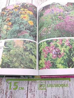 Лекарственные растения на приусадебном участке