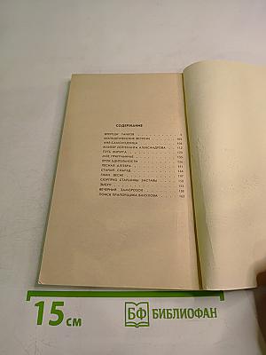 Впереди танков