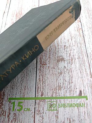 Поэтика. История литературы. Кино