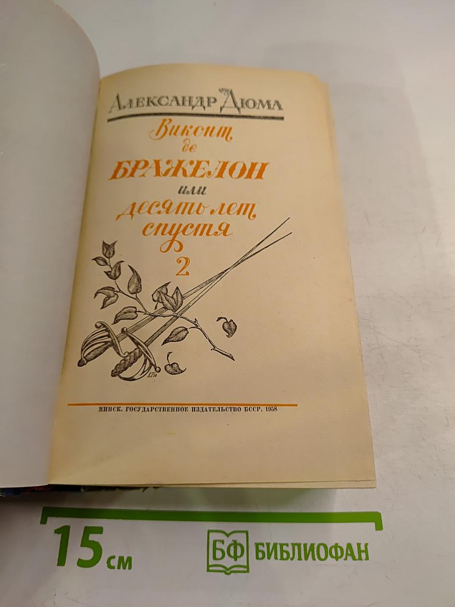 Виконт де Бражелон, или Десять лет спустя. Том 2