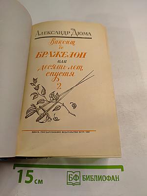 Виконт де Бражелон, или Десять лет спустя. Том 2